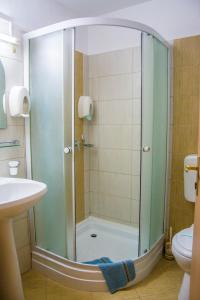 阿拉德Hotel Riga的浴室里设有玻璃门淋浴