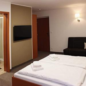 JenečUbytování u Smrku的配有一张床和一台平面电视的酒店客房