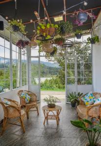 努沃勒埃利耶Gregory House Hostel的门廊上放有椅子和盆栽植物的屏蔽物