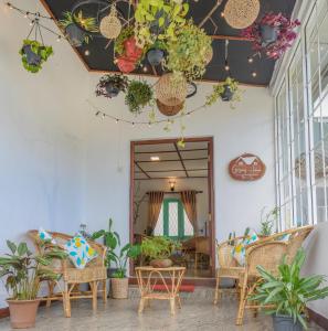努沃勒埃利耶Gregory House Hostel的门廊配有椅子和盆栽植物,天花板