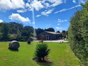 São PedroQuinta de São José的草上棕榈树的院子内的房子