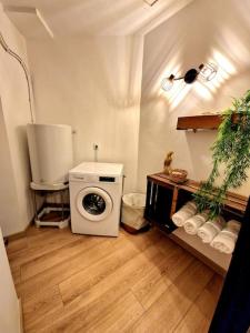 韦尔内莱班Appartement l'Insolite的客房内的洗衣机浴室