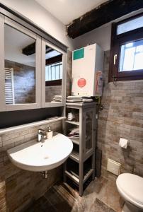 威尼斯Grace Apartment in Venice的一间带水槽和卫生间的浴室