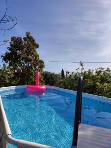 西尔韦斯Casa Amarelo-Tiny House with fantastic view-pool and close to the beaches的游泳池,水中备有粉红色玩具