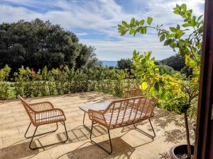 MontnegreMas Oms的花园内带两把椅子和一张桌子的庭院