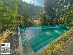 DeraniyagalaForest Shade Eco Resort的一座河底游泳池