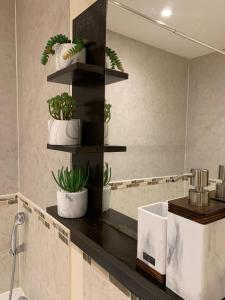 沃特福德Modern Flat的浴室设有水槽和镜子,种植了盆栽植物