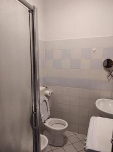 博尔格阿布贾诺Casina di mezzo的一间带卫生间和水槽的浴室