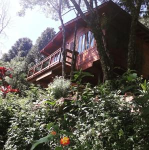 新彼得罗波利斯Eco Aldeia的花园中的一个树屋