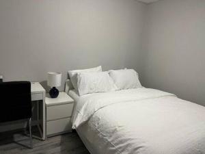 温尼伯Cozy Modern and Lavish 2 Bedroom Basement Suite的一间卧室配有一张床和一张带台灯的书桌