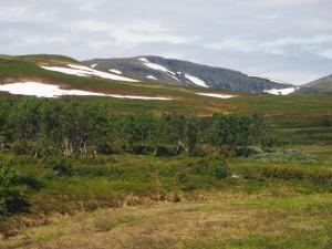 菲奈斯达伦Stuga , Funäsdalen的远处有积雪覆盖的山地