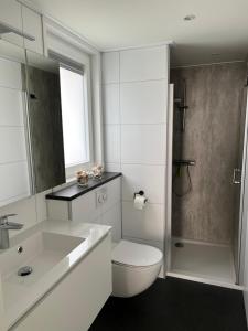 巴勒哈姆斯泰德瓦坎提帕克斯欧文顿公寓的白色的浴室设有卫生间和淋浴。