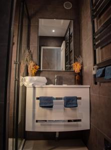 弗雷瑞斯Escale Royale Frejus的一间带水槽和镜子的浴室