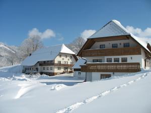 HorbenReeshof的雪中的房子,雪覆盖着