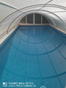 阿莫雷拉Villa Lala的大楼内的一个蓝色海水游泳池