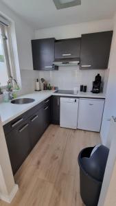 EwijkRecreatiewoning Maas en Waal 191的厨房配有黑白橱柜和木地板