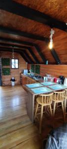 SaquisilíAlpina Glamping en Latacunga的小屋内的厨房配有桌椅