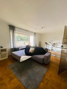 吕登沙伊德Zentral gelegenes Apartment - DSL, Küche, Balkon, Parkplatz的带沙发和大窗户的客厅
