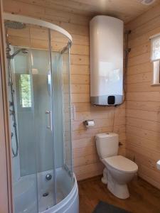 GrywałdLeśna Przystań - Domki całoroczne的一间带卫生间和玻璃淋浴间的浴室