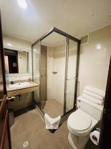 Hotel La Sabana的一间浴室