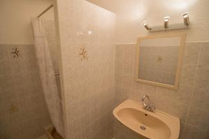 米尼赞海滩L'embarcadère的浴室配有盥洗盆和带镜子的淋浴