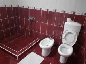 比耶洛波列Luxury House的浴室配有卫生间、盥洗盆和淋浴。