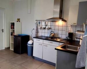 努尔德Apartment Villa Valentina的一间带水槽和冰箱的小厨房