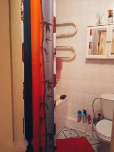 陶拉格Apartamentai的设有带卫生间的浴室内的淋浴帘
