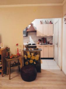陶拉格Apartamentai的客房设有带桌子和台面的厨房