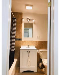 亨普斯特德纽约ZUHUA长岛(Hofstra University) （霍夫斯特拉大学）民宿！的一间带水槽、卫生间和镜子的浴室