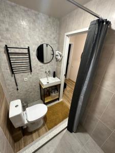乌曼岛Апартаменты Well - Being的一间带卫生间、水槽和镜子的浴室