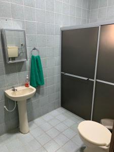 特里温福Casa do Vale的带淋浴、盥洗盆和卫生间的浴室