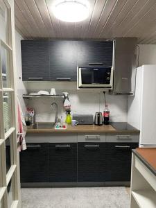 LyckebyÖLJERSJÖ COTTAGE的厨房配有黑色橱柜、水槽和微波炉