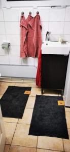 LyckebyÖLJERSJÖ COTTAGE的浴室设有水槽和2个黑色地毯。