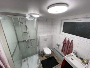 LyckebyÖLJERSJÖ COTTAGE的带淋浴、卫生间和盥洗盆的浴室