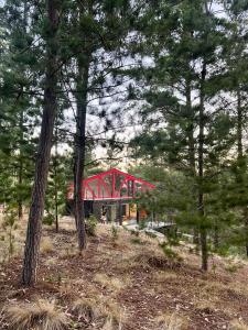 PupuyaQuebrada Pupuya, una cabaña en medio del bosque的树中间的红色建筑