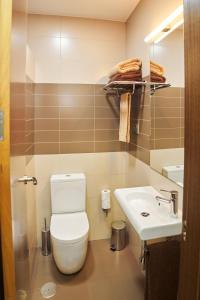 托梅略索维奥莱塔旅馆的一间带卫生间和水槽的浴室