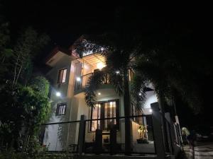 CamudmudA sea view 3 bedroom beach vacation home的夜晚在房子前面有一棵棕榈树