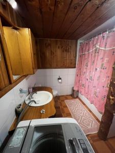 内尔图梅Cabañas Llakolen的一间带水槽和粉红色淋浴帘的小浴室