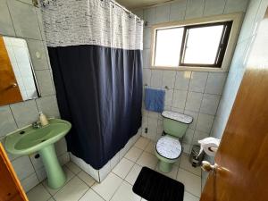 卡斯特鲁Hostal Magia Chilota的带淋浴、卫生间和盥洗盆的浴室