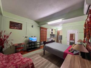 格罗斯岛Homely Environment Studio Apt的一间卧室配有一张床和一台电视