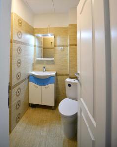 布加勒斯特Otilia的一间带卫生间、水槽和镜子的浴室