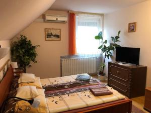 沙罗什保陶克Katalin vendégház的一间卧室配有一张床和一台电视