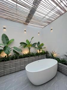 头顿Sea House Hotels and Apartments的植物间里的一个大型白色浴缸