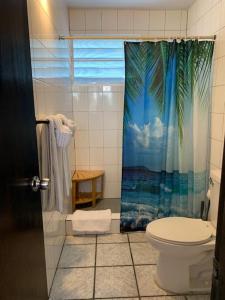 别克斯Esperanza Inn Guesthouse的一间带卫生间和热带淋浴帘的浴室