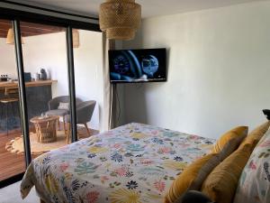 拉萨尔勒班La Petite Porte的卧室配有一张床,墙上配有电视。