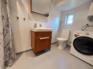 KlövedalHavsnära Stuga的浴室配有卫生间、盥洗盆和洗衣机。