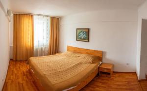 霍雷祖何勒祖酒店的一间卧室设有一张床和一个大窗户