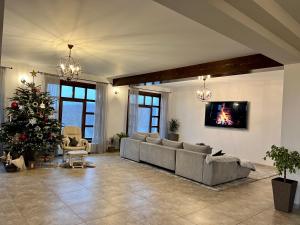 CărpinişAgropensiunea Floare de Tei的客厅配有圣诞树和沙发