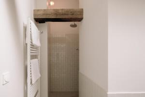 萨勒Apartment Alte Schmiede的带淋浴和步入式淋浴间的浴室